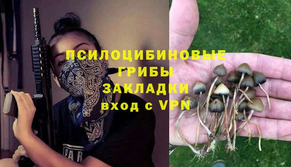прущие грибы Алексеевка