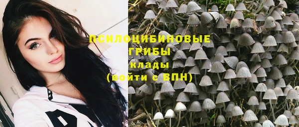 амф Алзамай