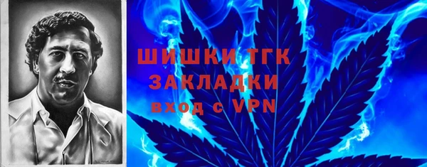 прущие грибы Алексеевка