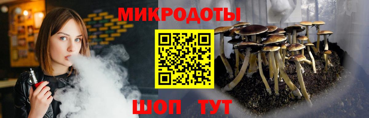 Псилоцибиновые грибы Psilocybe  Вход с VPN  Канаш  Псилоцибиновые грибы мухоморы 